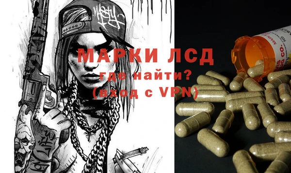 спайс Баксан