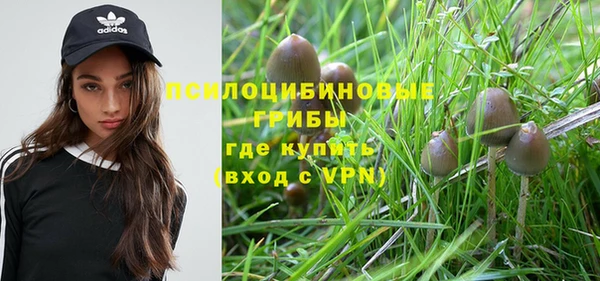 спайс Баксан