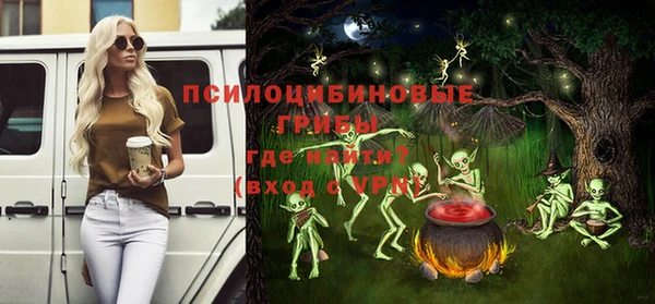 спайс Баксан