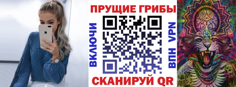 Галлюциногенные грибы прущие грибы  Свирск 